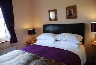 Отели типа «постель и завтрак» Coill an Rois B&B Ballydavid Двухместный номер с 1 кроватью-2