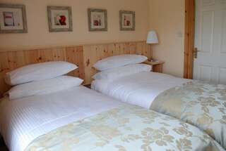 Отели типа «постель и завтрак» Coill an Rois B&B Ballydavid Двухместный номер с 2 отдельными кроватями-1
